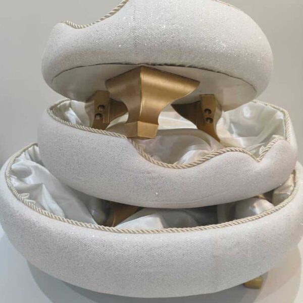 اجاره طبق شاین